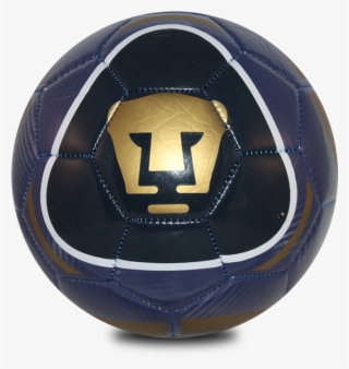 Balón Soccer Pumas Licencia - Soccer Ball PNG Image | Transparent PNG Free  Download on SeekPNG