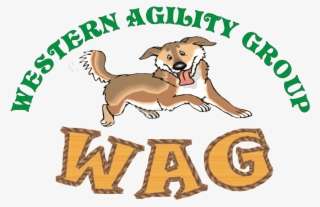 wag dog agility