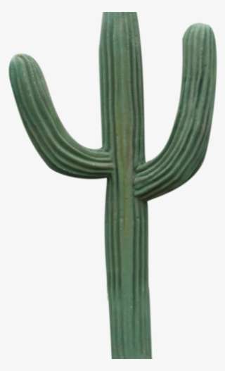 Cactus Clipart Barrel Cactus - Hedgehog Cactus PNG Image | Transparent ...