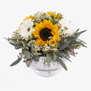 Bouquet Vector Daisies - Oxeye Daisy PNG Image | Transparent PNG Free ...