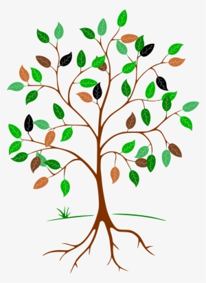 Tree-684764 - Owl In A Tree Clip Art PNG Image | Transparent PNG Free